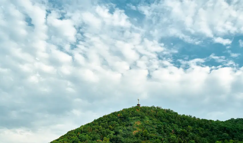 ko-Park Panzi Szarvask