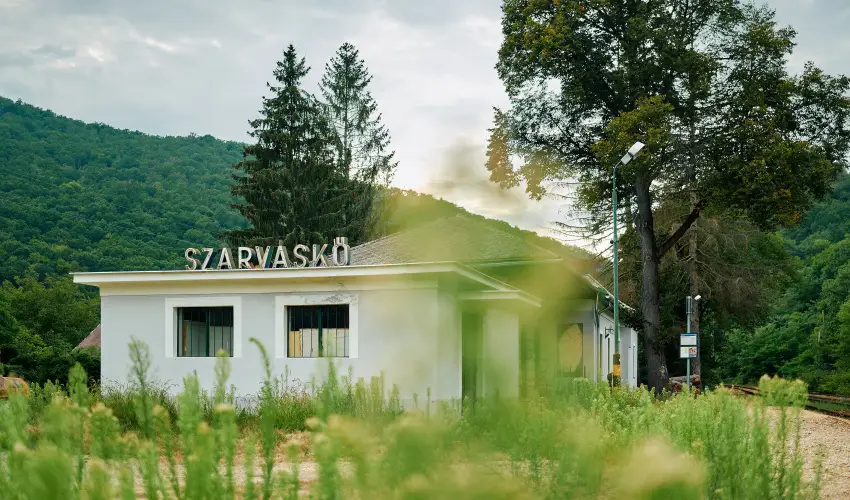 ko-Park Panzi Szarvask