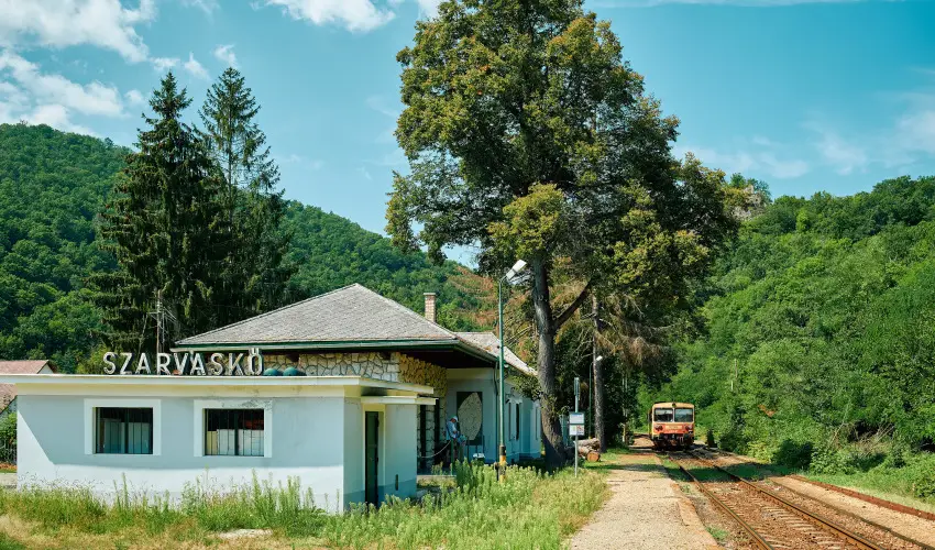 ko-Park Panzi Szarvask