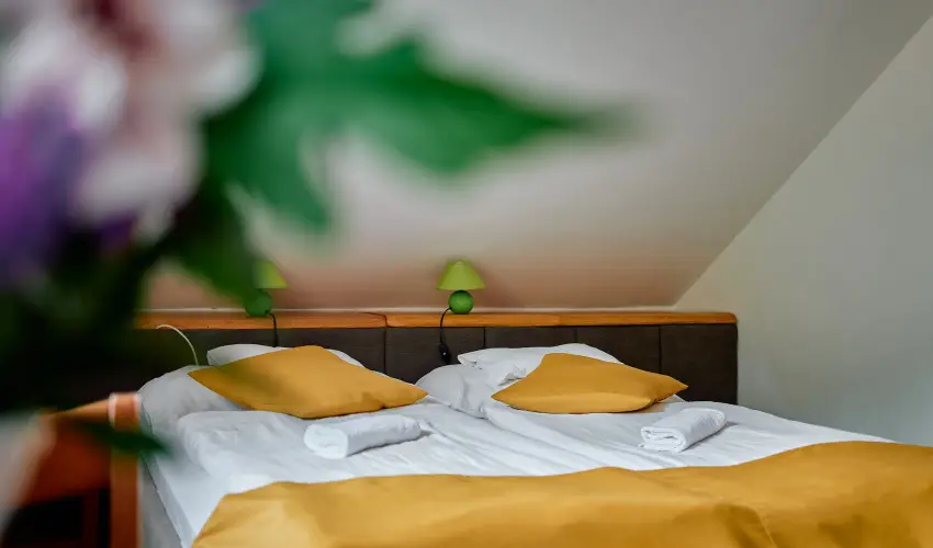 ko-Park Panzi Szarvask