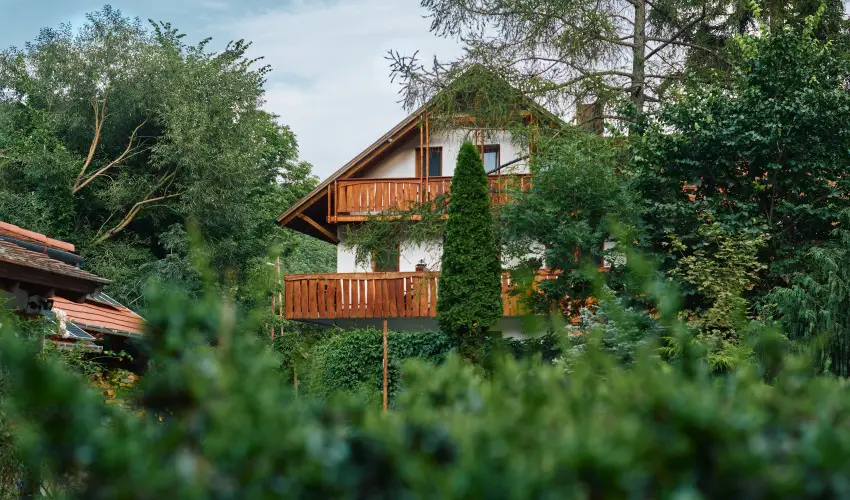 ko-Park Panzi Szarvask