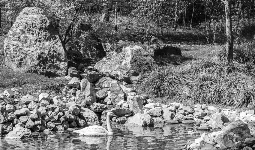 Oxign Family Hotel Noszvaj