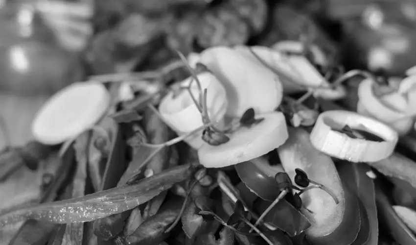 Oxign Family Hotel Noszvaj