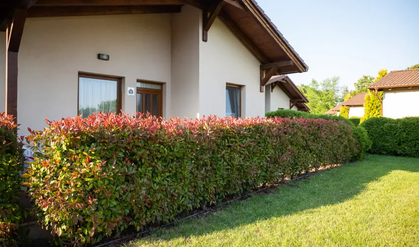 Pandora Zsry Apartmanok Mezkvesd