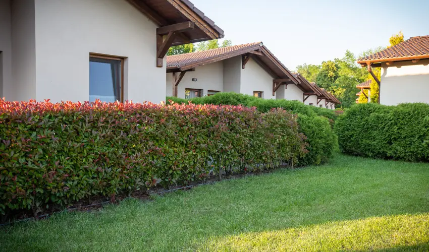 Pandora Zsry Apartmanok Mezkvesd