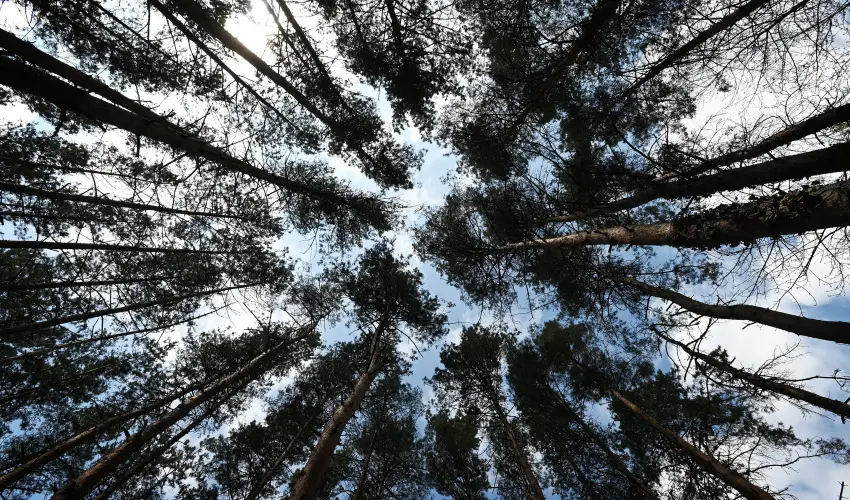 Panorma Hotel Noszvaj Noszvaj