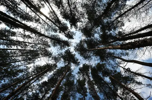 Panorma Hotel Noszvaj, Noszvaj, Eger - 9 km