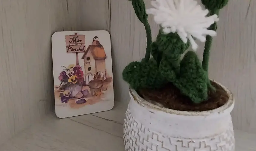 Pitypang Apartman Eger