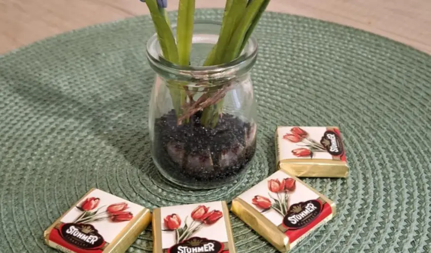 Pitypang Apartman Eger