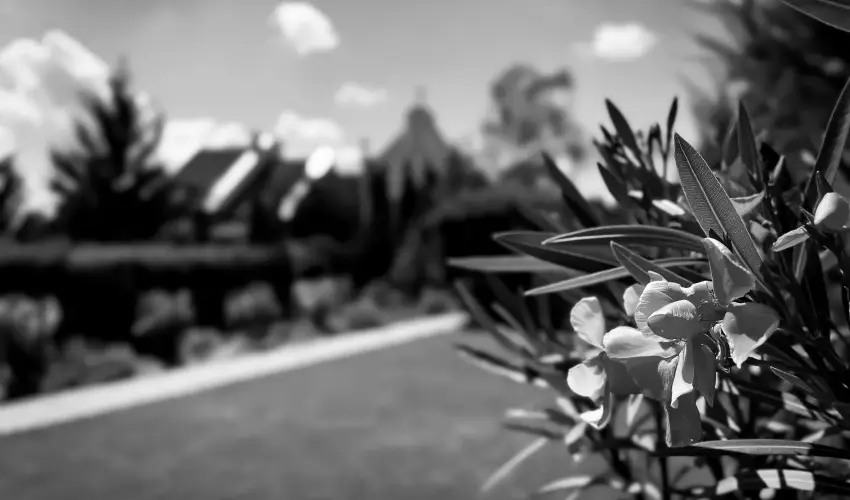 Szent Istv�n Hotel Eger