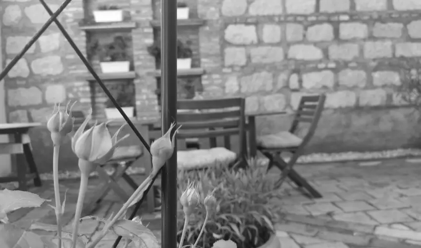 Villa Florencia Eger