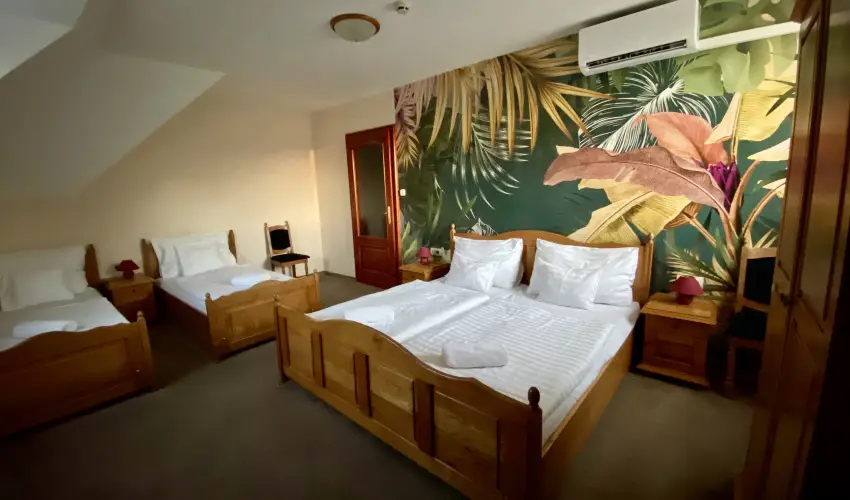 Villa Park Panzi Szilvsvrad